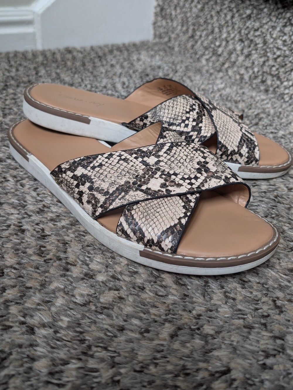 Circus NY by Sam Edelman Lux Slides in Snakeskin Print Size 7.5